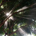 Die Mystische Erfahrung Eine Reise jenseits der Worte