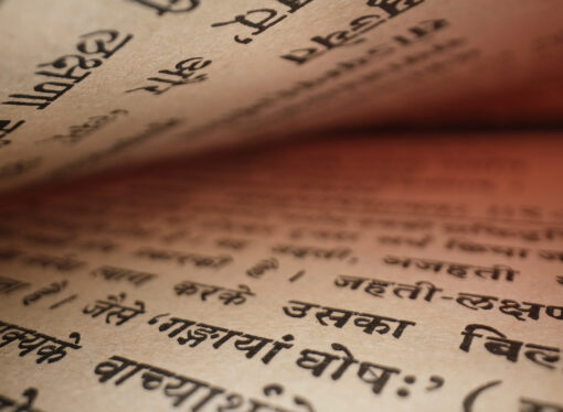 Brahma Vidya – Die Wissenschaft der Selbstverwirklichung Guide