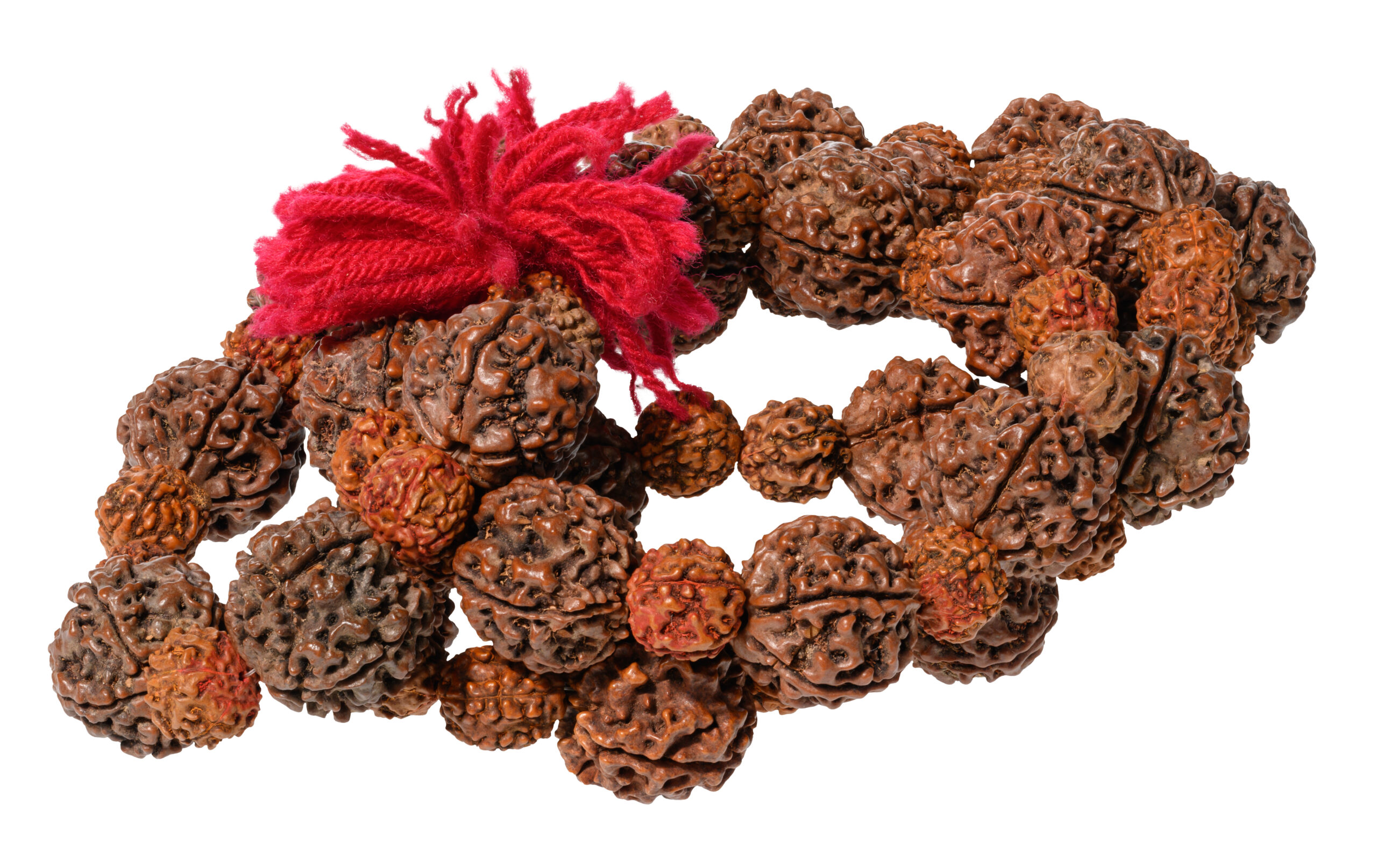 Rudraksha Pflege